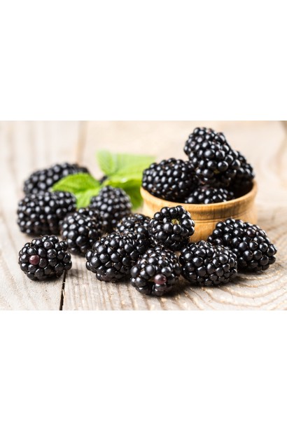 Rubus fruticosus Smutstem