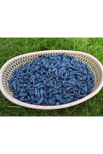 Жимолость їстівна Блакитне Веретено ягоди