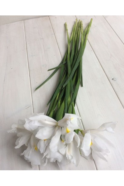 Білі півники в букеті