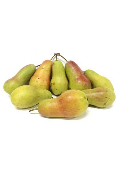 Груша Talgarskaya Krasavitsa