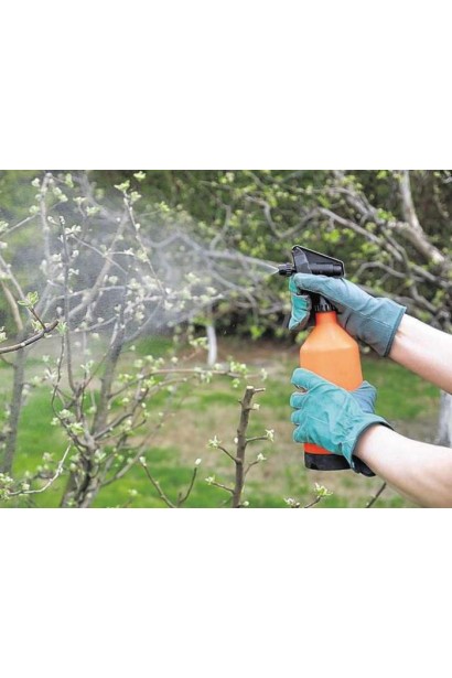 Обробка дерев груші