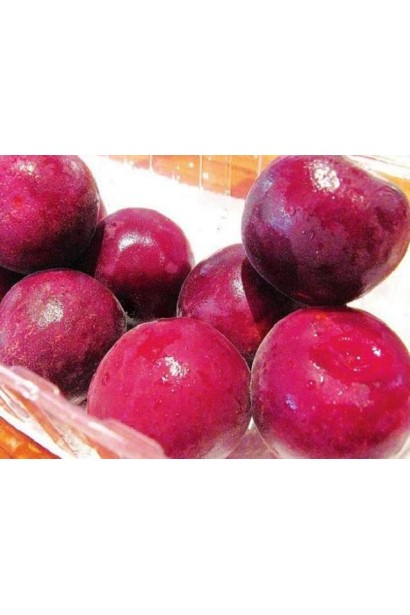 Абрикос Черный Принц кожица