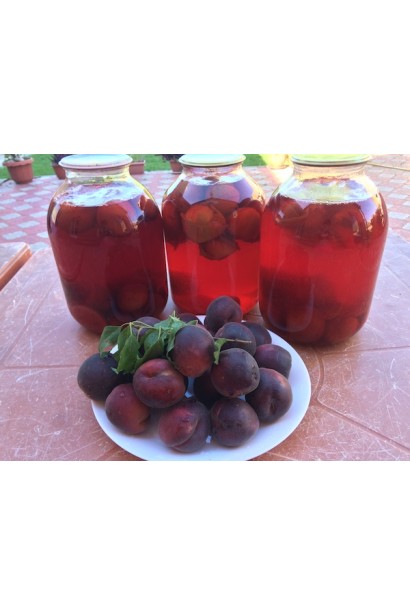 Компот с абрикосом Черный Принц