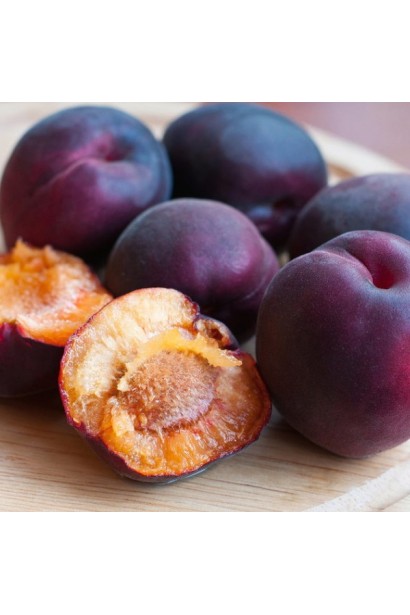 Абрикос Nigrum Prince цвет плодов