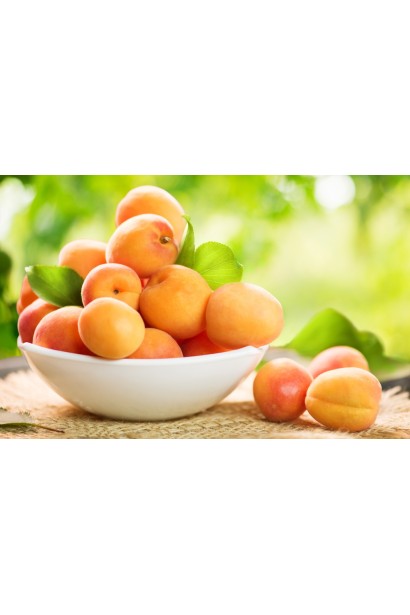 Абрикоси Червневий ранній