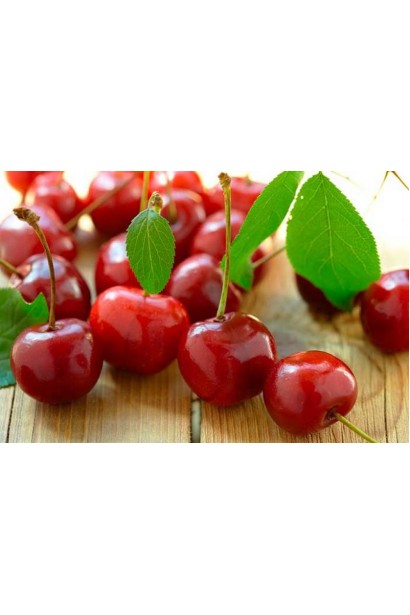 Вишня колоновидна Захват (рання) 