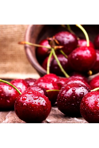 Вишня колоновидна Vostorg