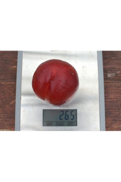 Нектарин Бег Топ большие плоды