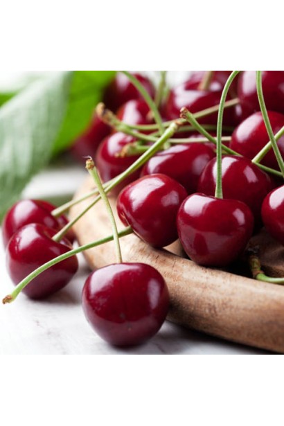 Вишня пірамідальна Малютка 