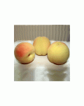 Персик домашній Донецький білий (середній) | Персик домашний Донецкий белый (средний) | Prunus persica Donets`kyy bilyy