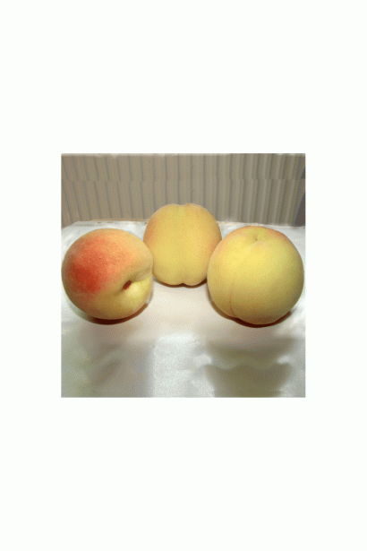 Самоплодный персик Донецкий белый для выращивания в саду.