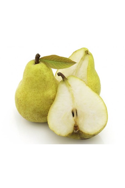 Груша колоновидна Сан Ремі / Санремі