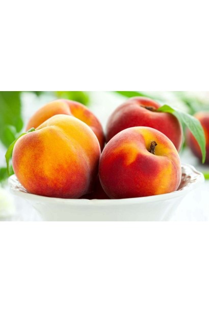 Prunus percica / Nucipersica columnar Fantasia