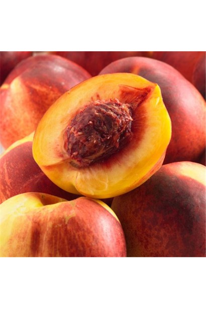 Розрізаний плід нектарина Фантазія із жовтою м’якоттю та гладкою кісточкою всередині