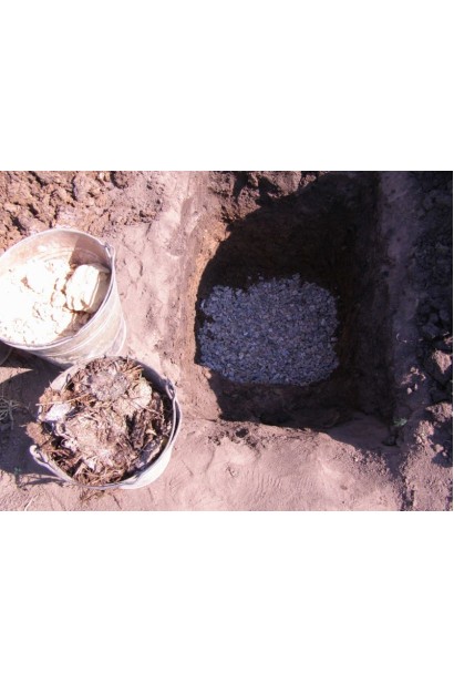 Самоплідний персик Донецький жовтий — ідеальний для саду