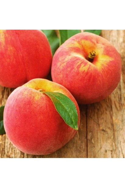 Персик колоновидный Золотой Триумф: Ранние плоды с золотисто-желтой окраской.