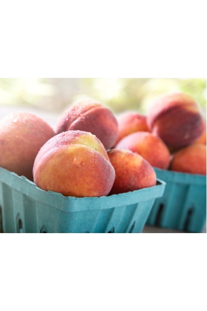 Персик Онтаріо Вайс: середній сорт із ніжною кремовою м’якоттю та солодким смаком.