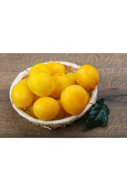 Стиглі плоди сливи Медової