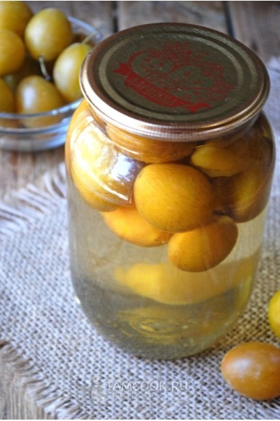 Слива домашня Ренклод ранній | Слива домашняя Ренклод ранний | Prunus domestica Renklod ranniy