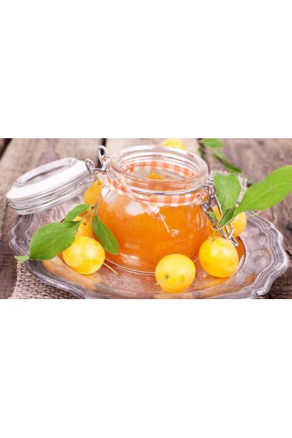 Слива домашня Ренклод ранній | Слива домашняя Ренклод ранний | Prunus domestica Renklod ranniy