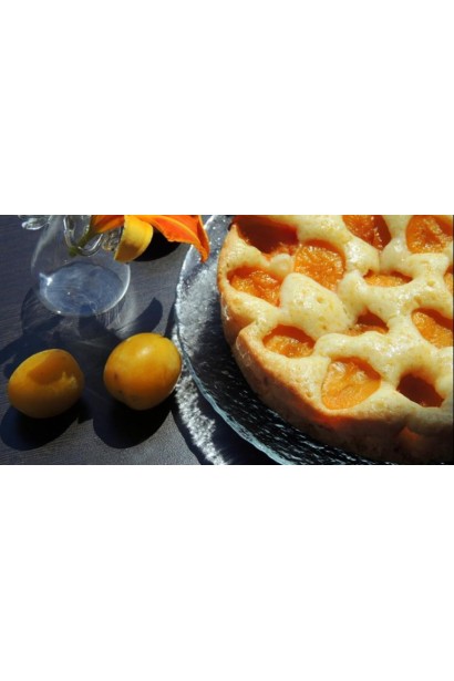 Слива домашня Ренклод ранній | Слива домашняя Ренклод ранний | Prunus domestica Renklod ranniy