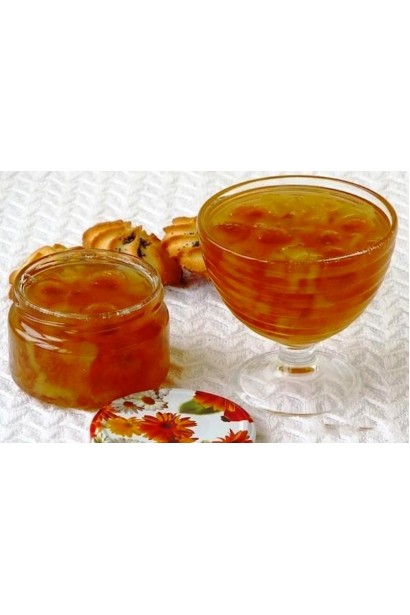 Слива домашня Ренклод ранній | Слива домашняя Ренклод ранний | Prunus domestica Renklod ranniy