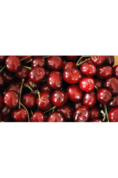 Великі червоні ягоди черешні великоплідної.