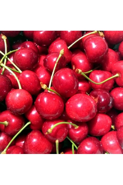 Врожай черешні Донецька Красуня для вашого саду.