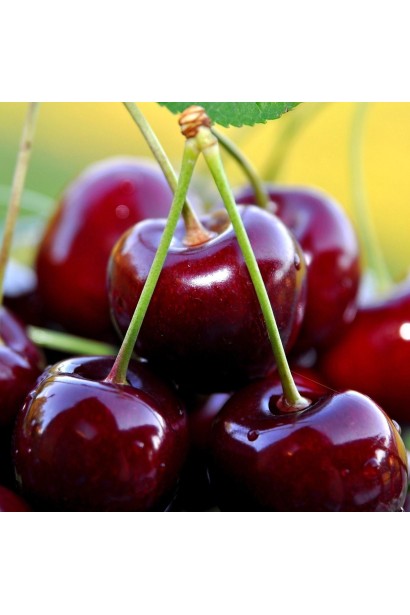 Черешня Донецька Красуня з насиченим солодким смаком.