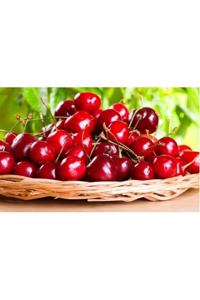 Хелена — черешні з великими солодкими плодами.