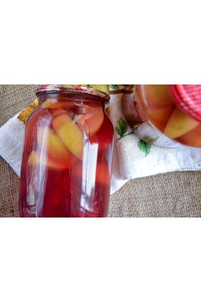 Malus domestica Gloster