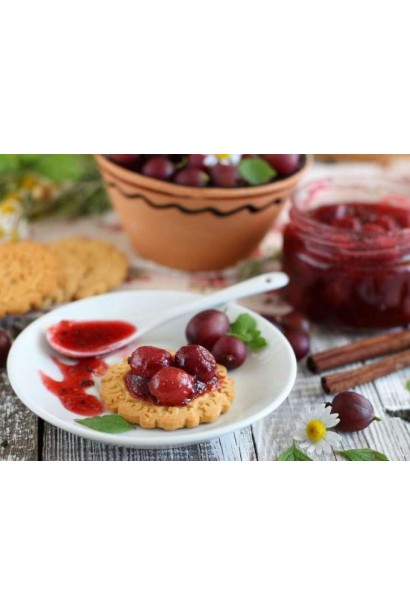 Ribes uva-crispa Oksamyt / Barhat