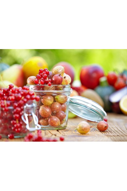 Аґрус Сварог сорт середнього терміну дозрівання