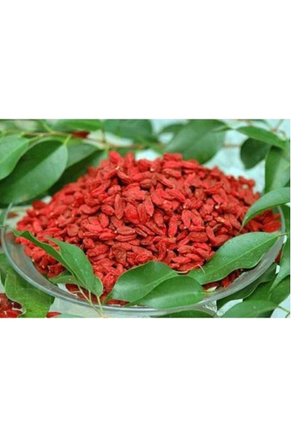 Годжи Тибетский красные продолговатые ягоды