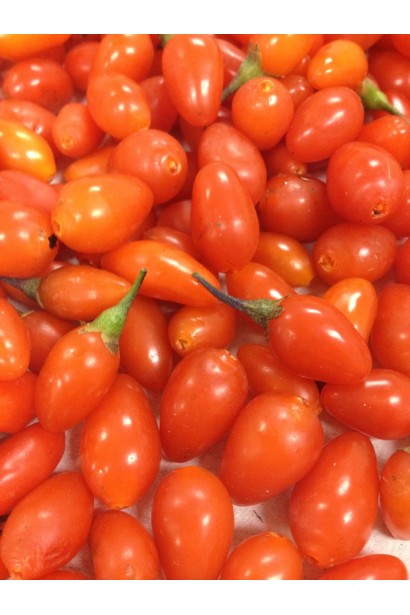 Годжи Биг Берри райская ягода