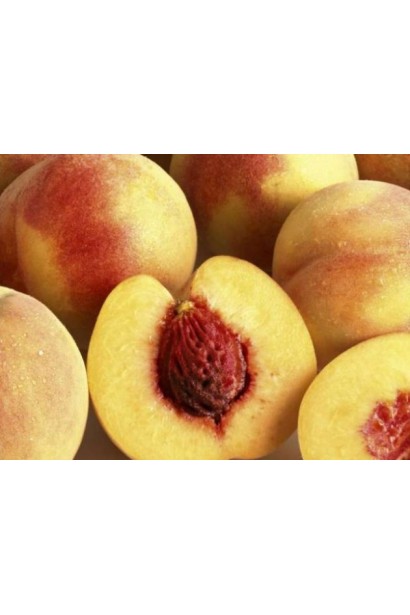 Саджанець Ювілейного персика – чудовий вибір для тих, хто цінує швидкий результат.