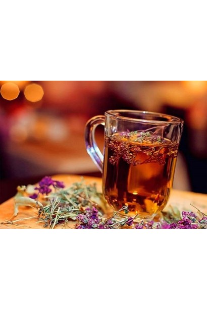 Тим`ян / Чебрець лимонний Ауреа | Thymus citriodorus Aurea | Тимьян / Чабрец лимонный Ауреа