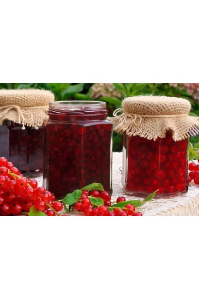 Ribes rubrum Rovada – ідеальна для варення та соків