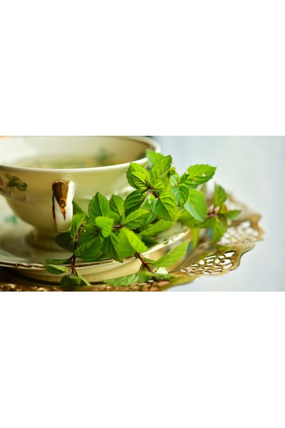 Mentha piperita Granada