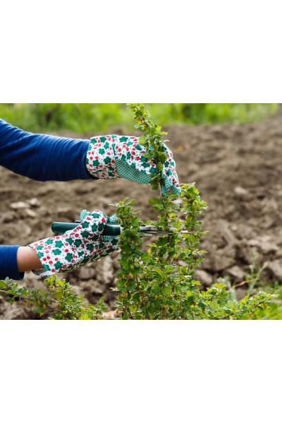 Крыжовник Грушенькая обрезка