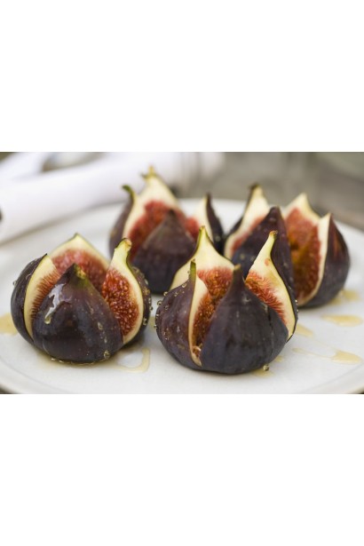 Смоковниця