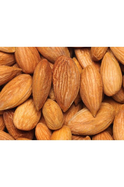 Мигдаль плодовий Нікітський-62 великі коричневі плоскі плоди