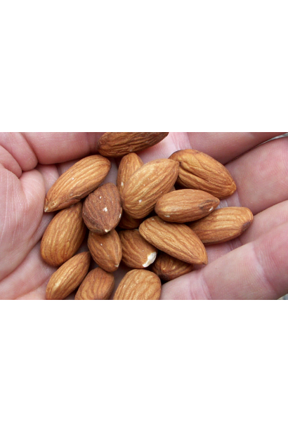 Мигдаль плодовий Нікітський-62