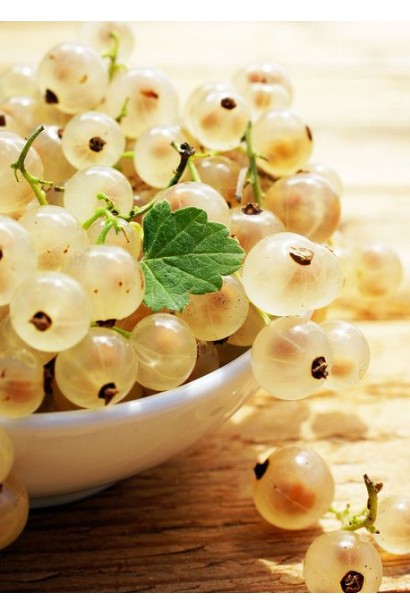 Смородина красная Десертная (ранняя) 