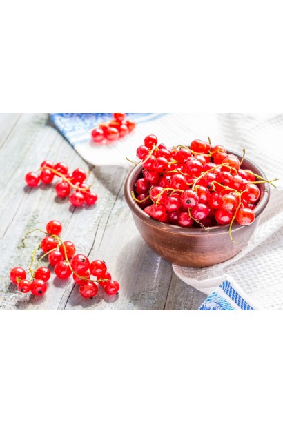 Смородина Чародейка – красные ягоды для кулинарии