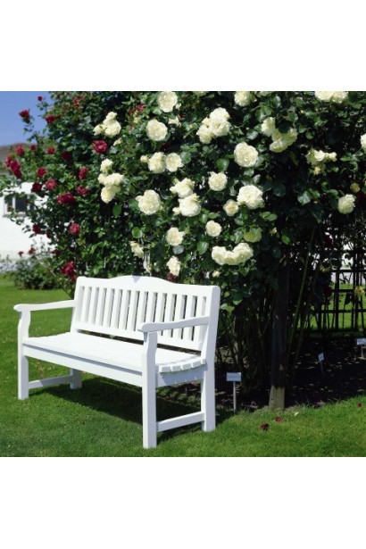 Троянда Шнеевальцер – ароматне цвітіння в саду.