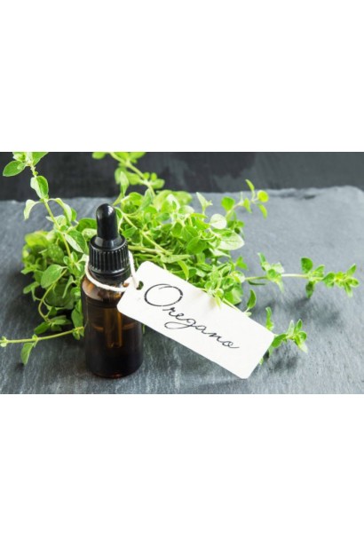 Origanum Compactum