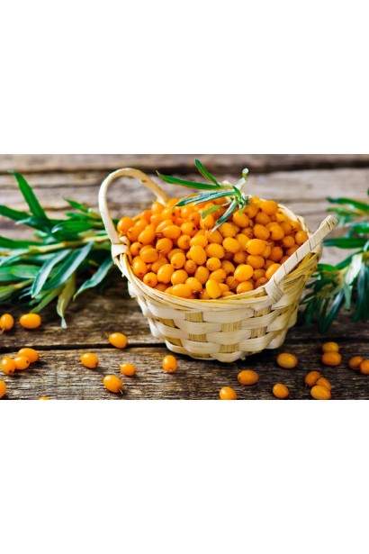 Облепиха обыкновенная Ева