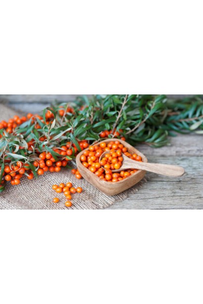 Облепиха обыкновенная Великан 