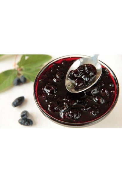 Lonicera edulis Donka Veletna